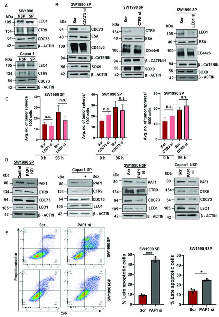 Figure 3: