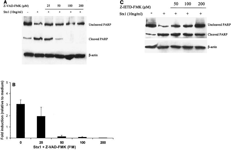 FIG. 8.