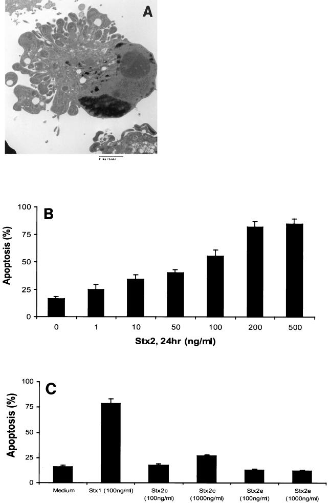 FIG. 5.