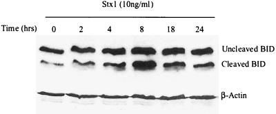 FIG. 10.