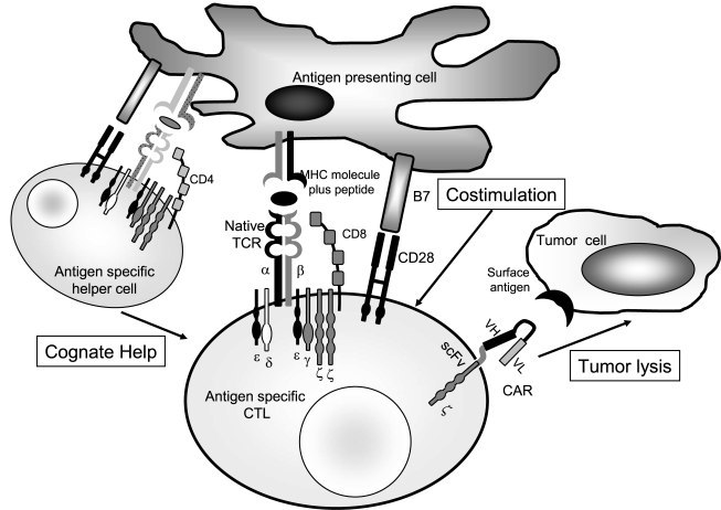 FIG. 2.