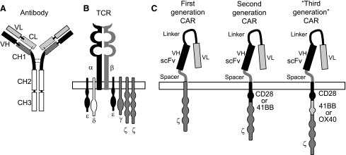 FIG. 1.