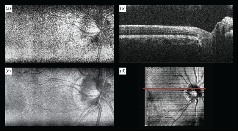 Fig. 2