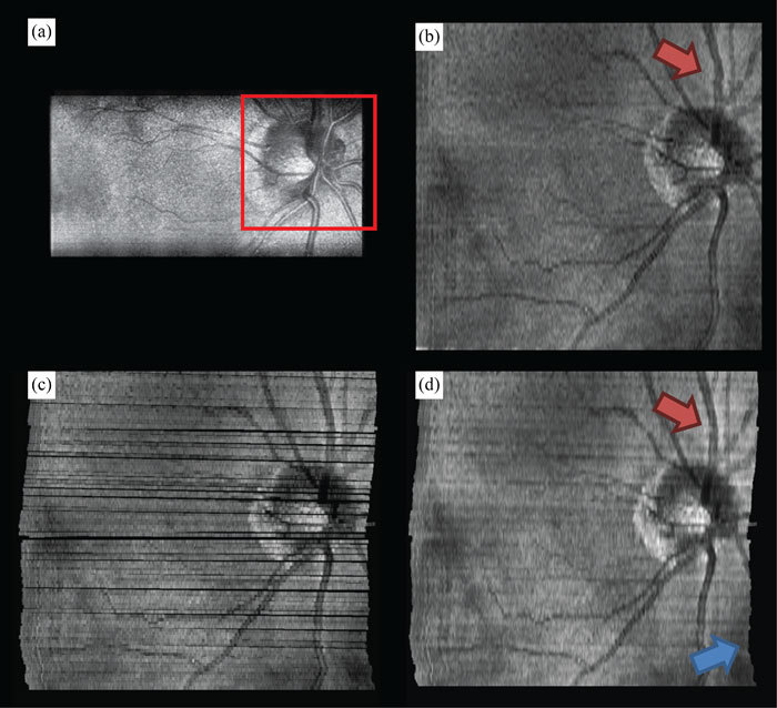 Fig. 6