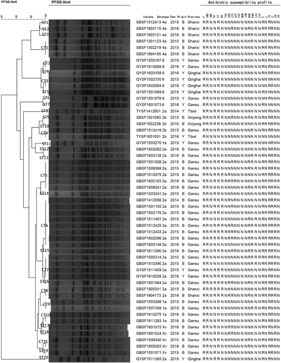 Fig. 3