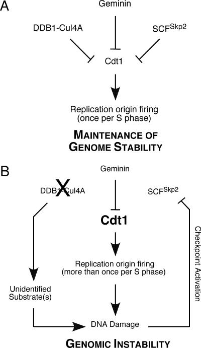 FIG. 9.