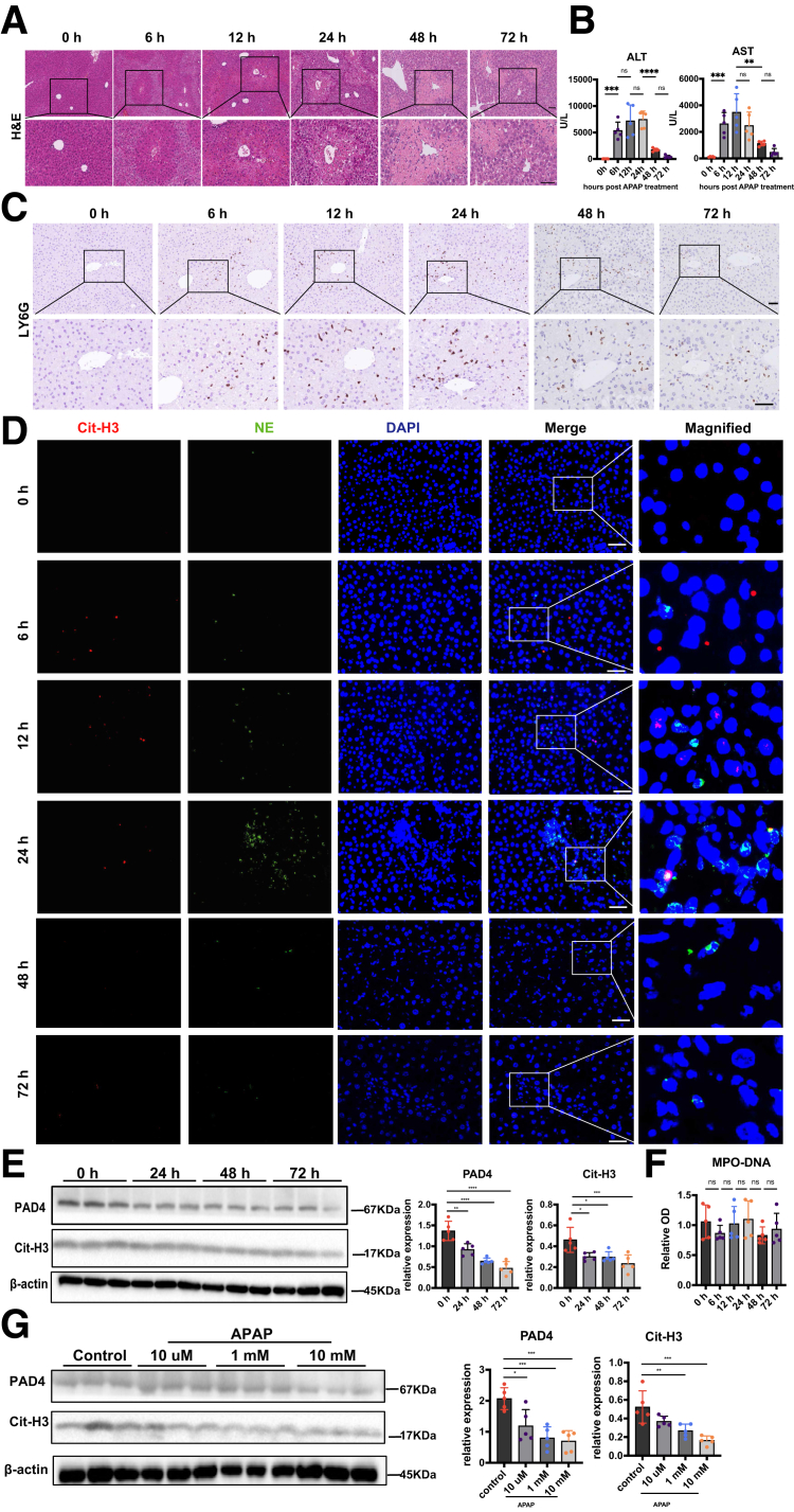 Figure 3