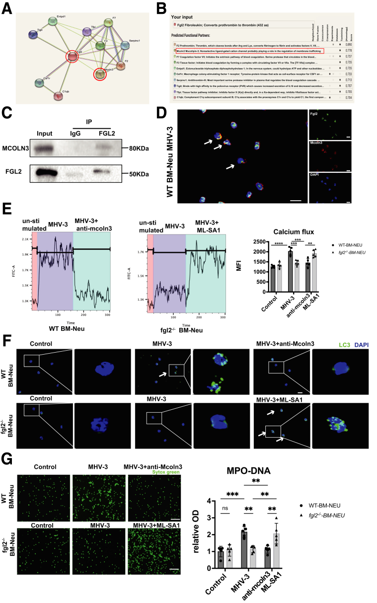 Figure 11