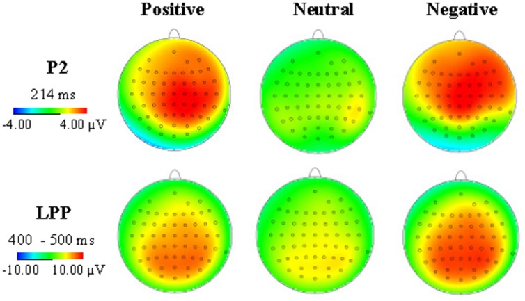 FIGURE 4