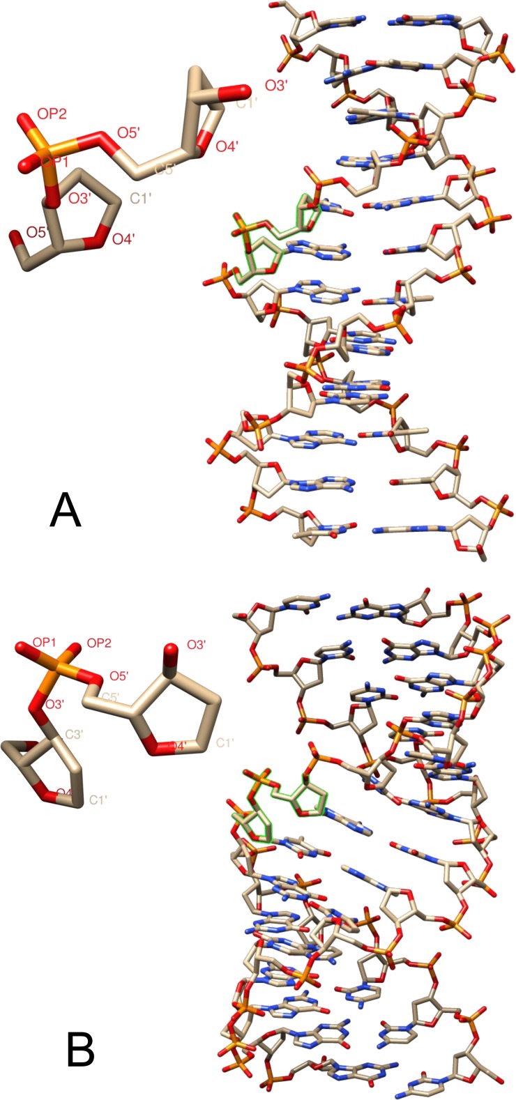 FIG. 1.