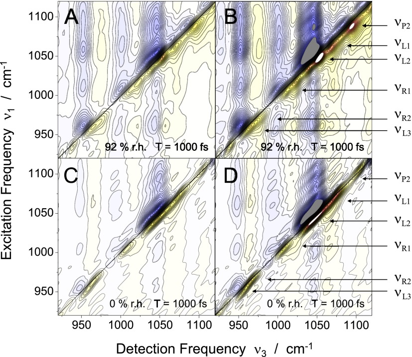 FIG. 3.