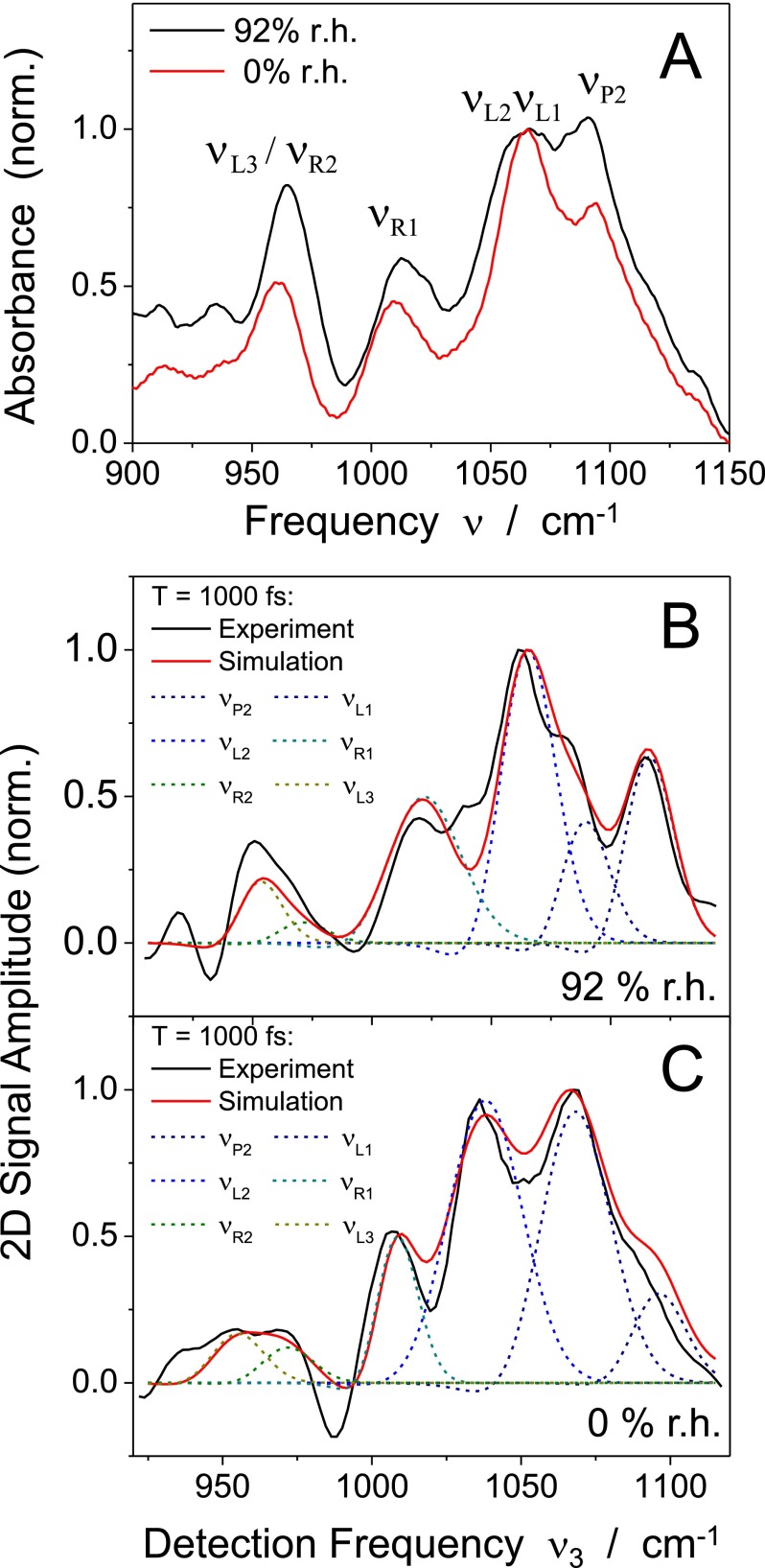 FIG. 2.