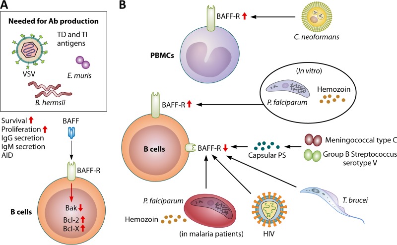 FIG 4