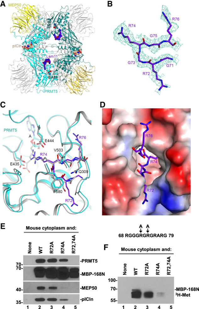 FIGURE 3.