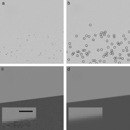 Fig. 2