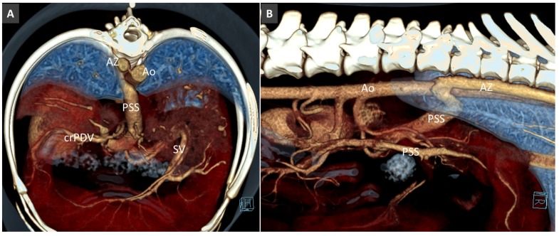 Figure 16