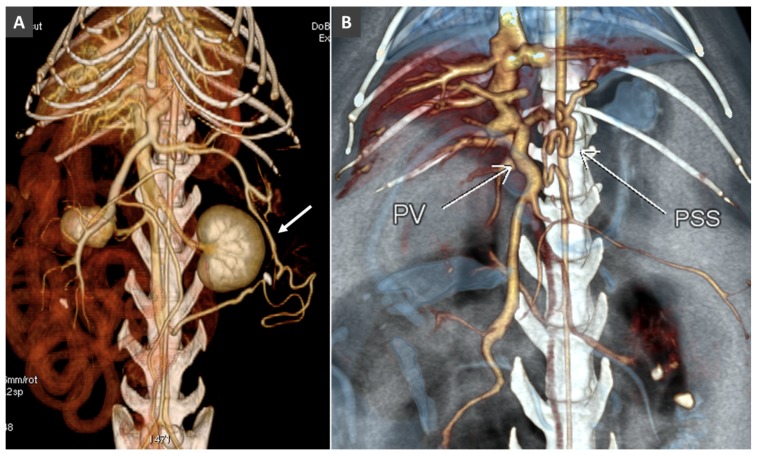 Figure 19