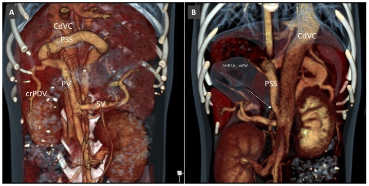 Figure 15