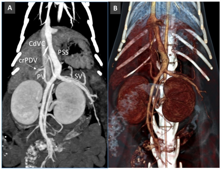 Figure 14