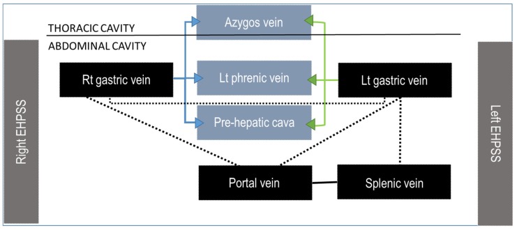 Figure 17