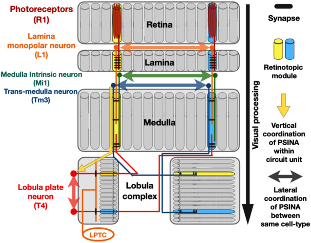 Figure 3.