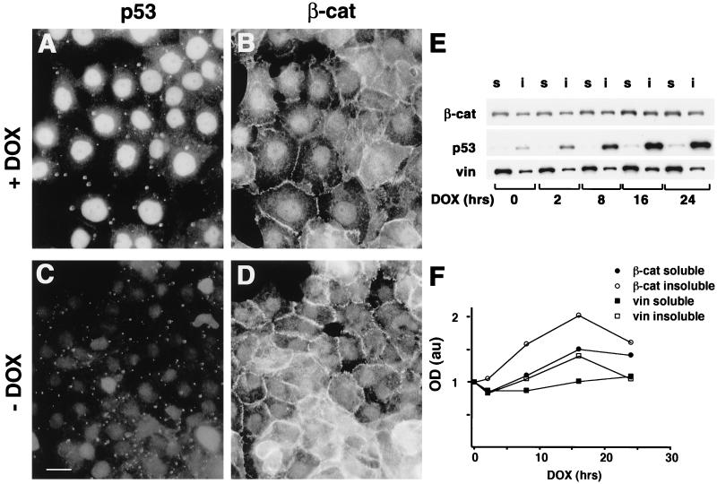 FIG. 7