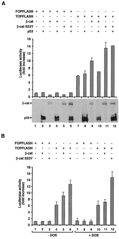 FIG. 8
