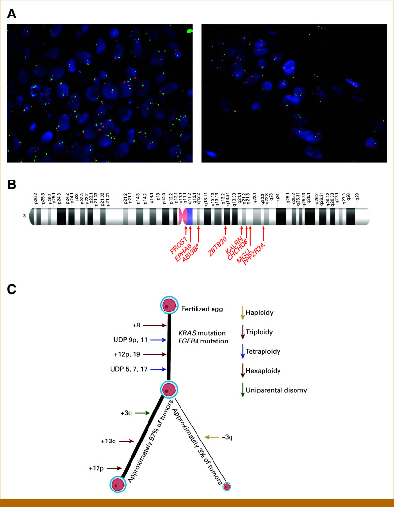 FIG 4.