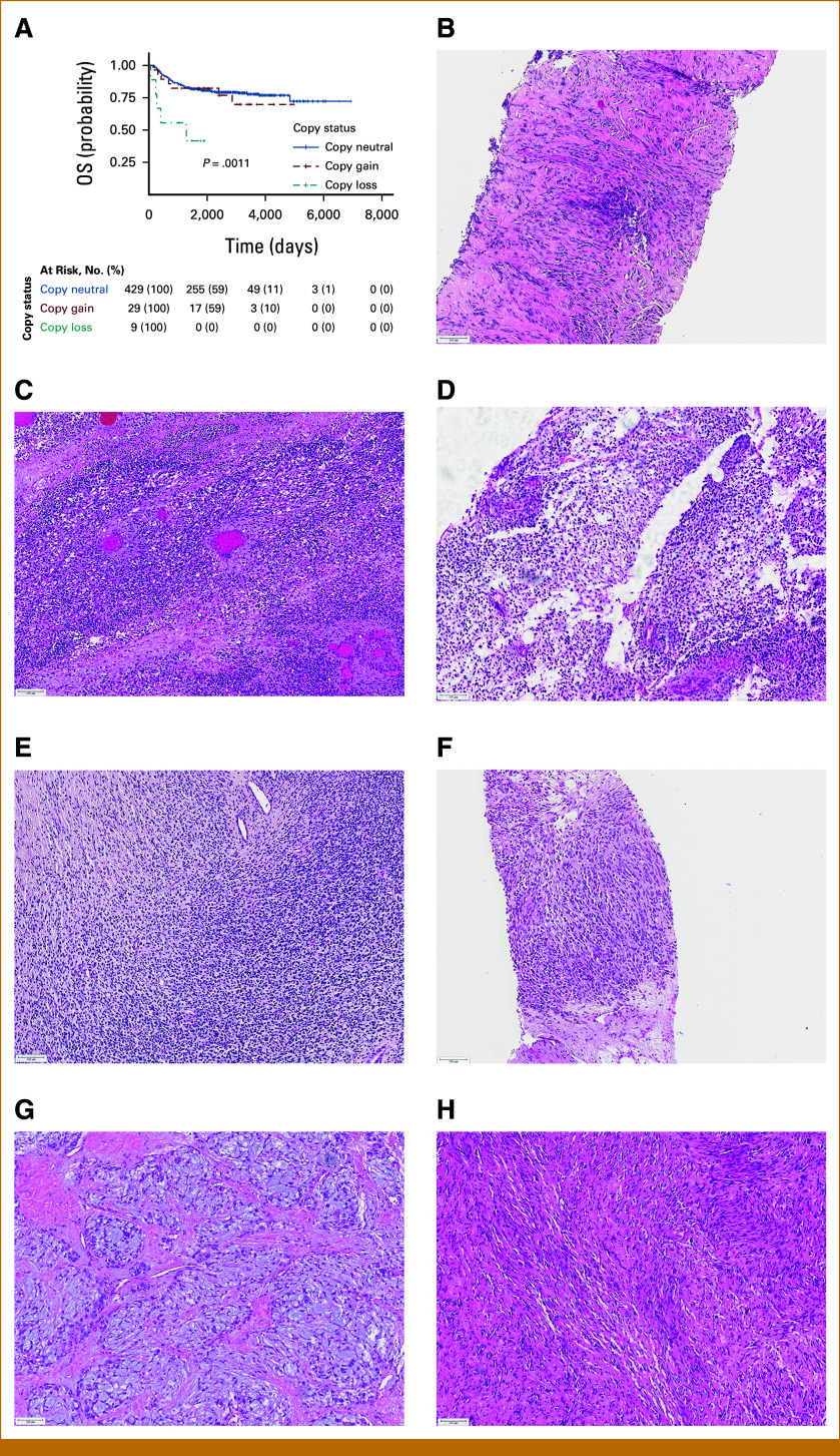 FIG 3.