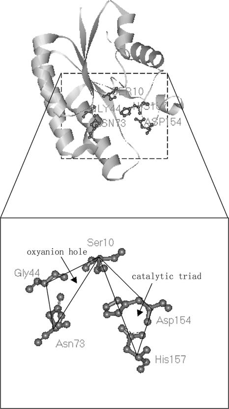 FIG. 3.