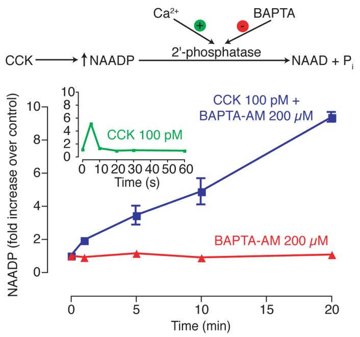 Figure 11