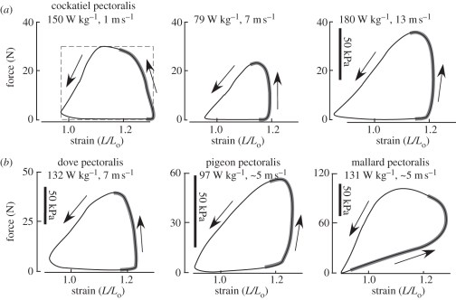 Figure 3.