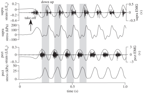 Figure 4.