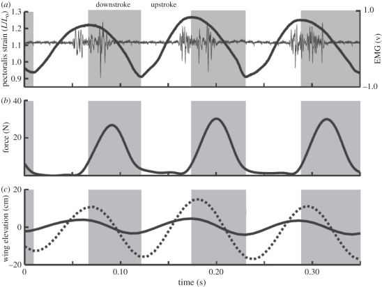 Figure 2.