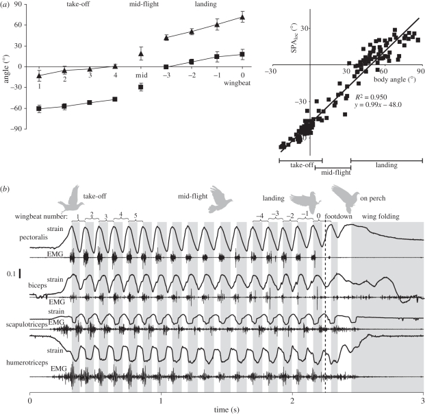 Figure 6.