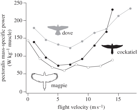 Figure 5.