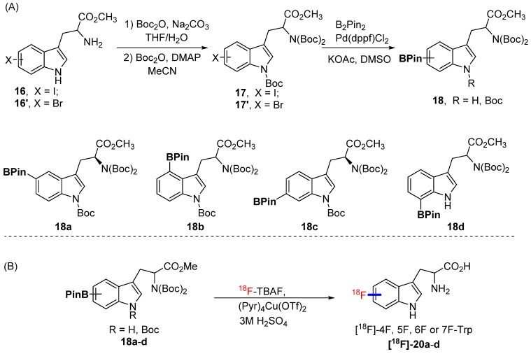 Scheme 3