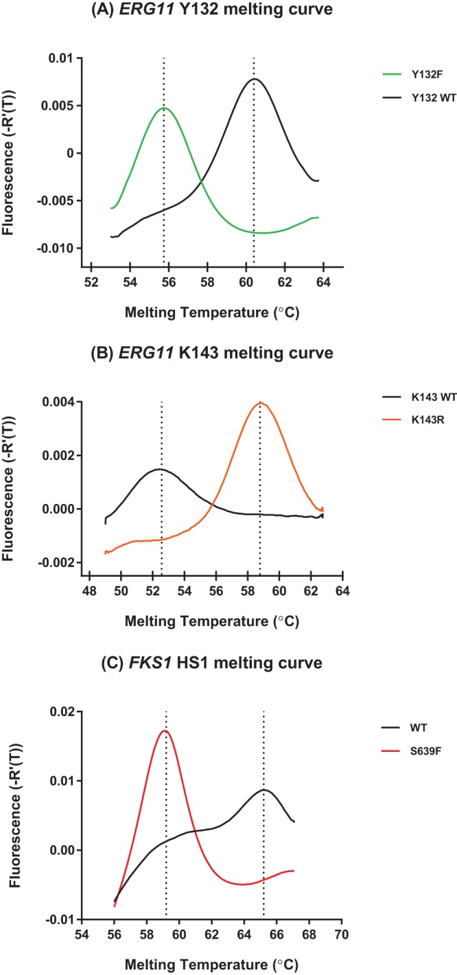 FIG 1