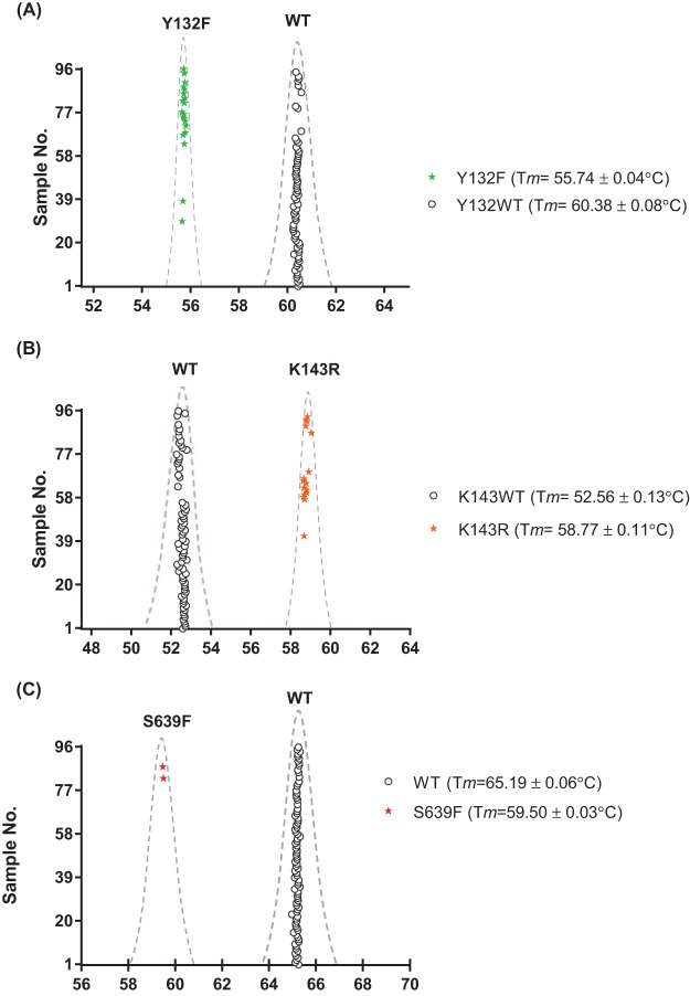 FIG 2