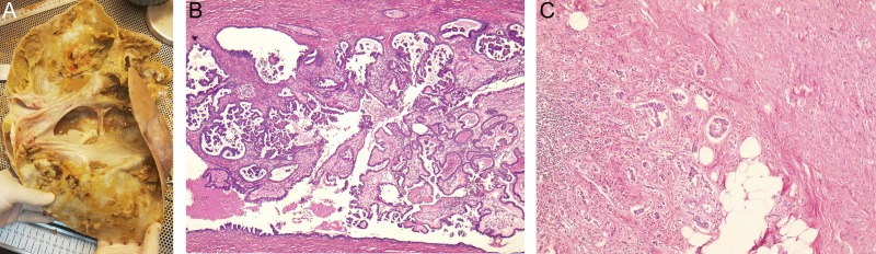 Figure 3: