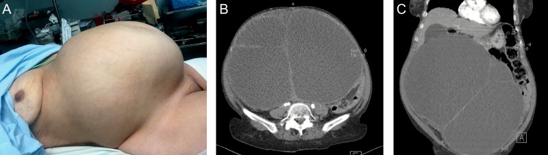 Figure 1: