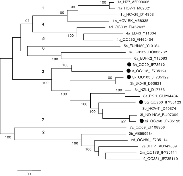 Fig. 1. 