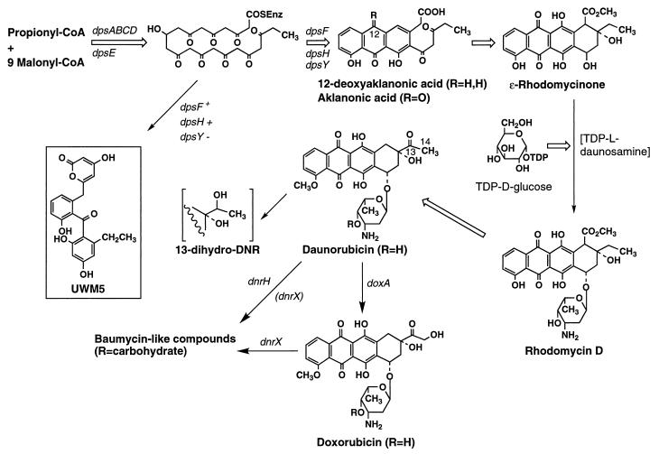 FIG. 1