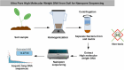 Image, graphical abstract