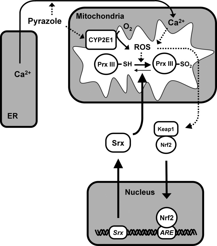 FIG. 8.