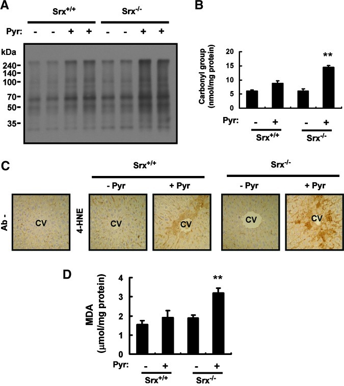 FIG. 7.