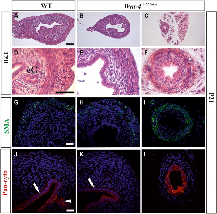 Figure 6.