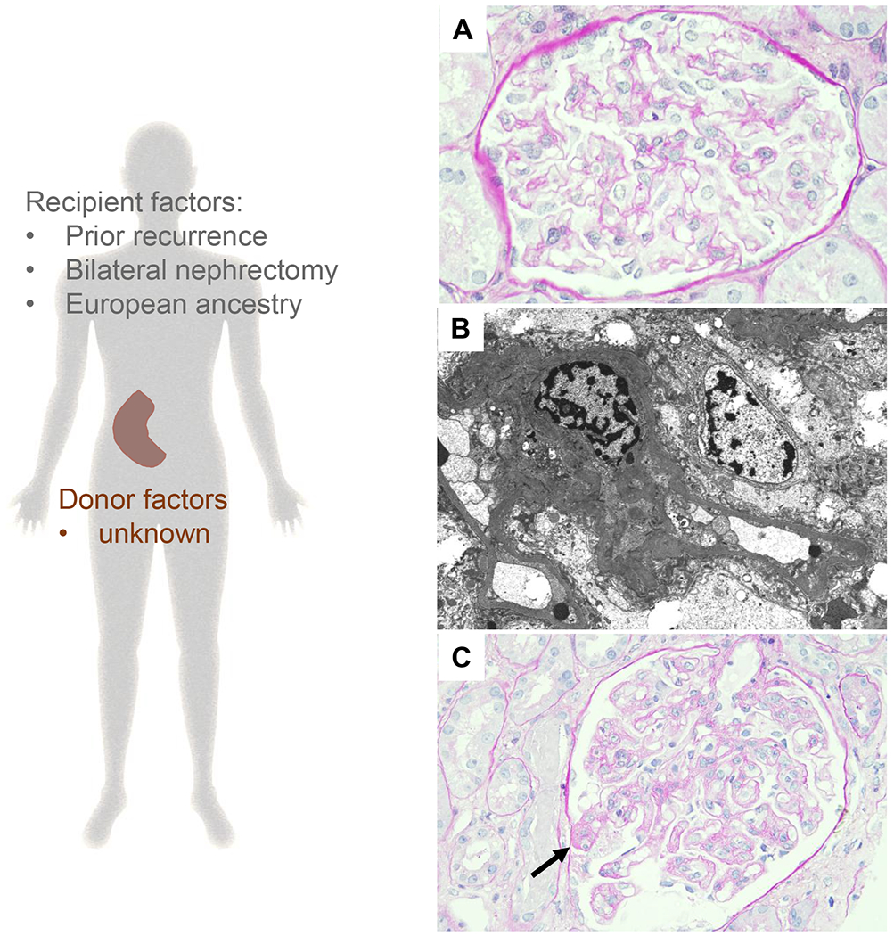 Figure 3: