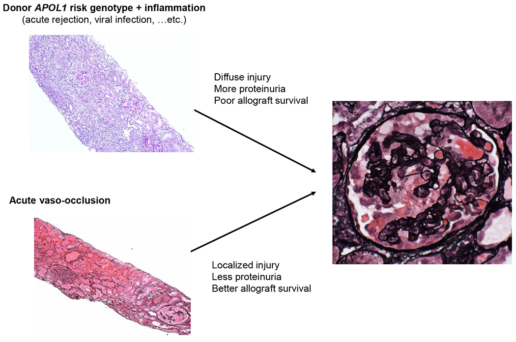 Figure 4: