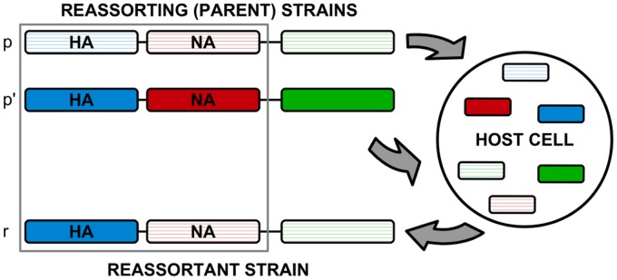 Fig 1